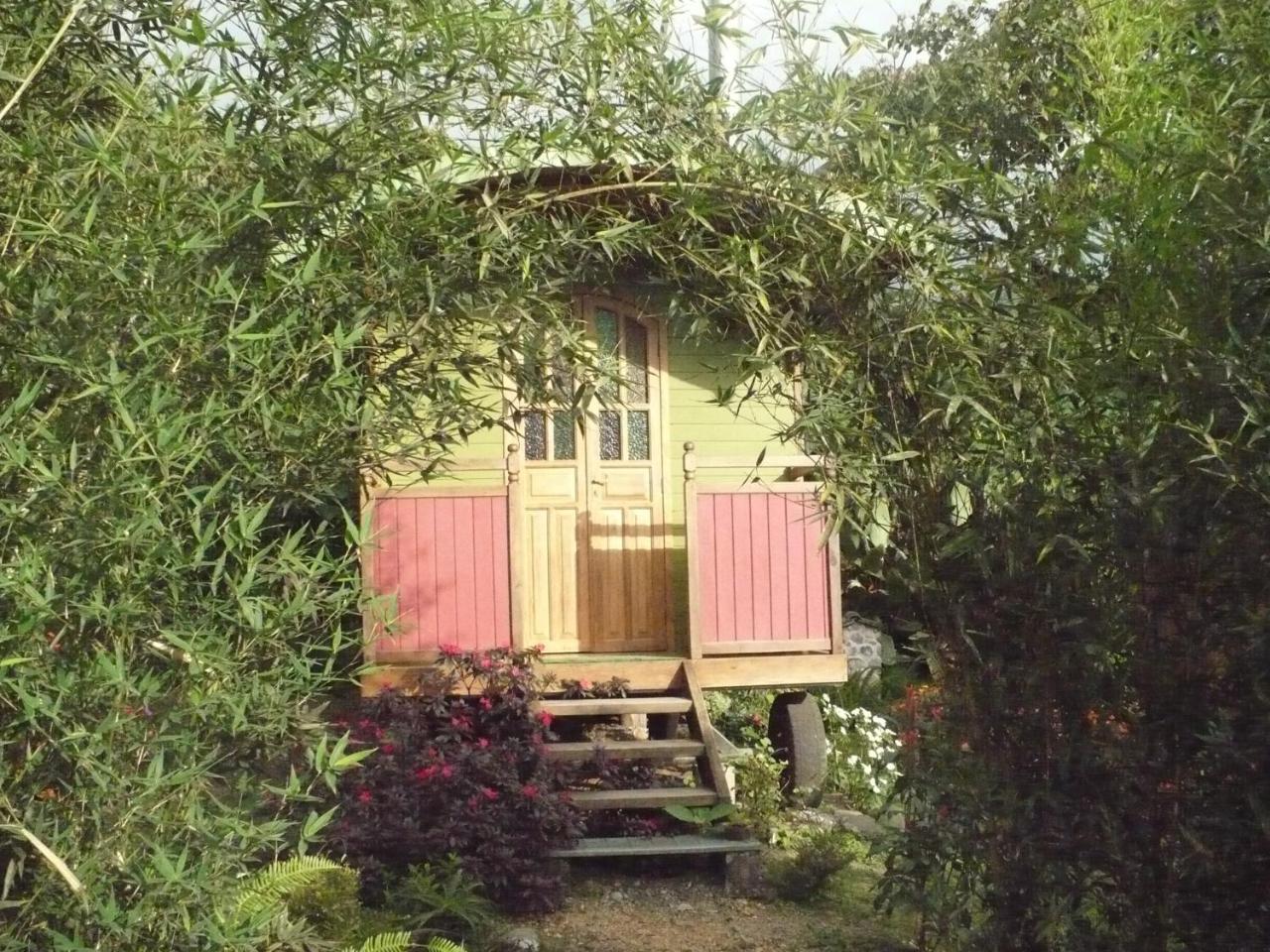 Hosteria La Roulotte - Mindo Eksteriør billede