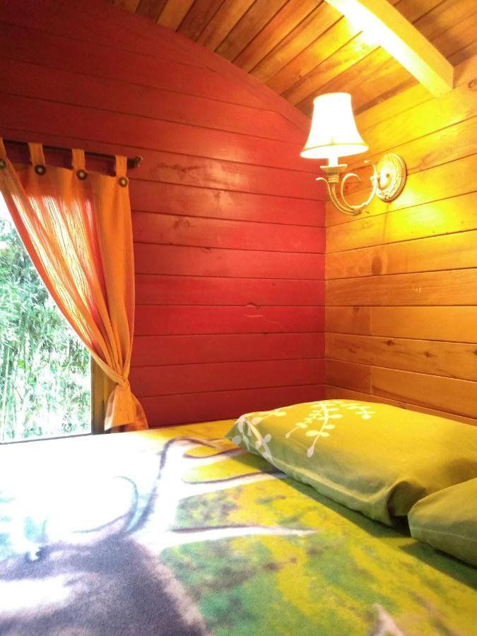 Hosteria La Roulotte - Mindo Eksteriør billede